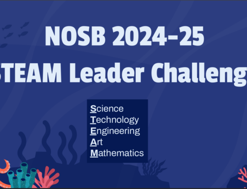 New Resource Available for Teachers and Students: Ocean Acoustics STEAM Leader Challenge on Scoutlier