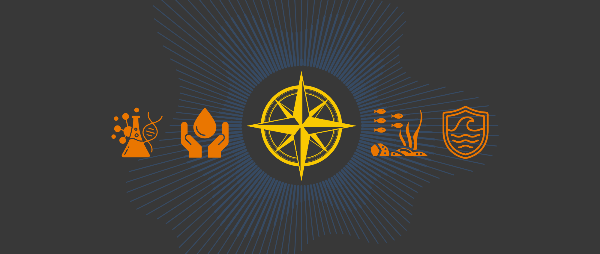 Ocean Conservation Theme Imagery Header Update